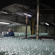 Glass bottles move on the production line.